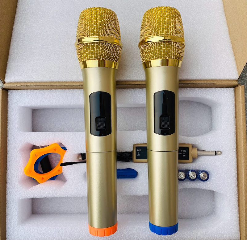 Micro âm thanh hội trường nhỏ