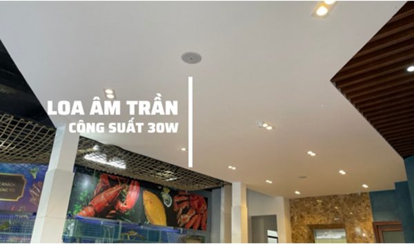 Ứng dụng đa năng của loa âm trần 30W 
